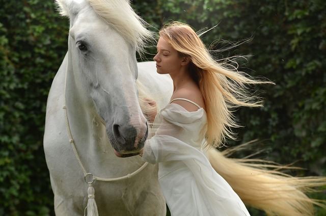De essentie van een goede paardendeken: van selectie tot onderhoud